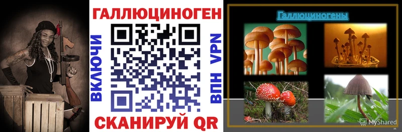дарк нет Telegram  Калуга  Псилоцибиновые грибы Psilocybine cubensis 